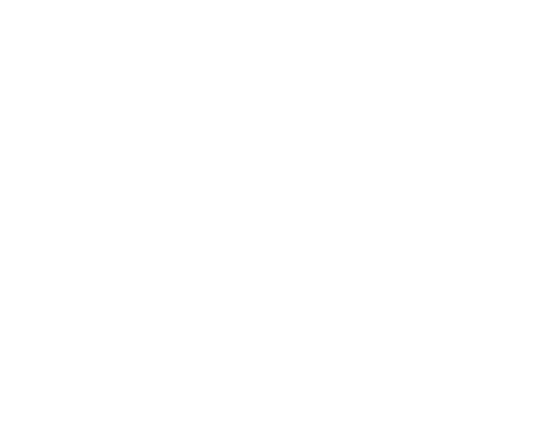 anne semonin