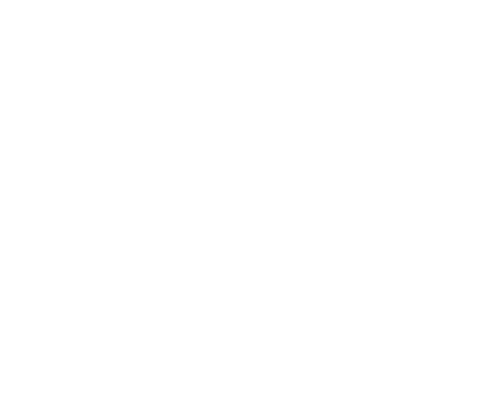 le petit prince